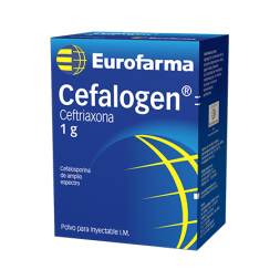 CEFALOGEN 1 GR IM
LOTE